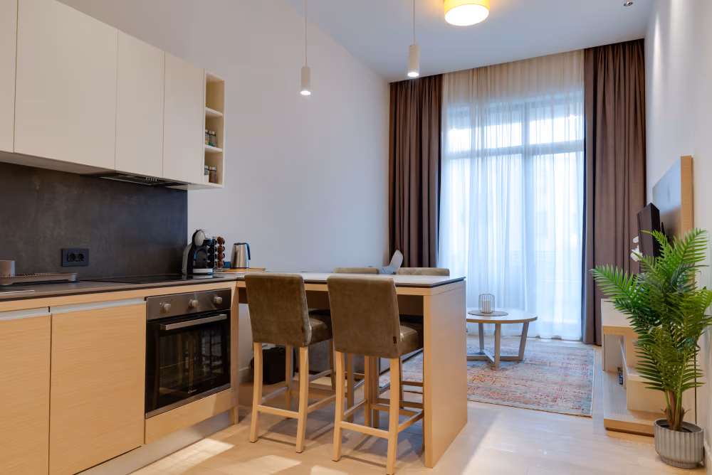 Deluxe one Bedroom Apartment with Terrace - fotografija 3