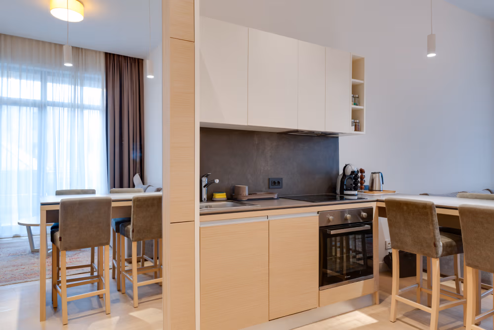 Deluxe one Bedroom Apartment with Terrace - fotografija 5